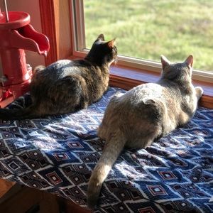 Meet your Posher, Minda